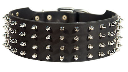 3inch leather spiked dog collar pitbullterrier S99 LRG