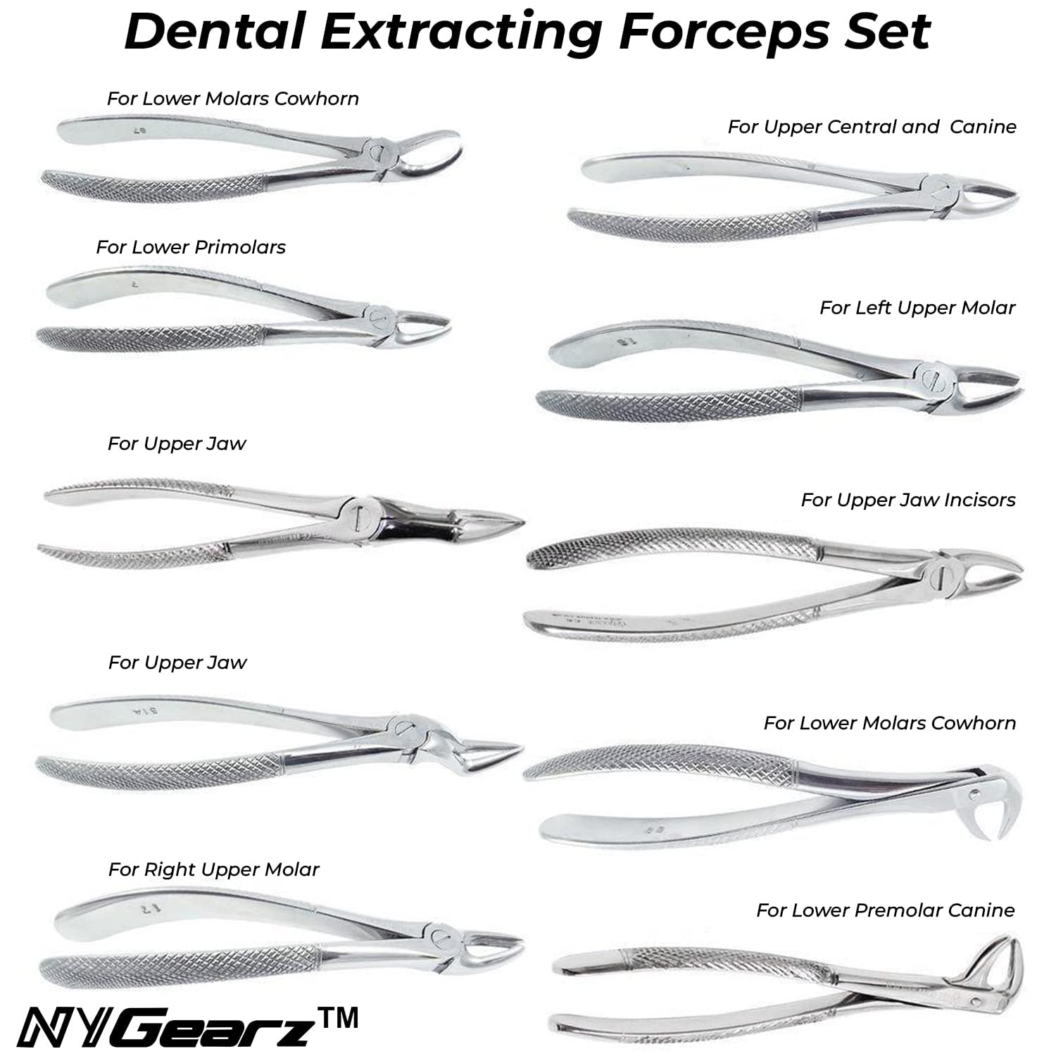 Dental Forceps For Extraction